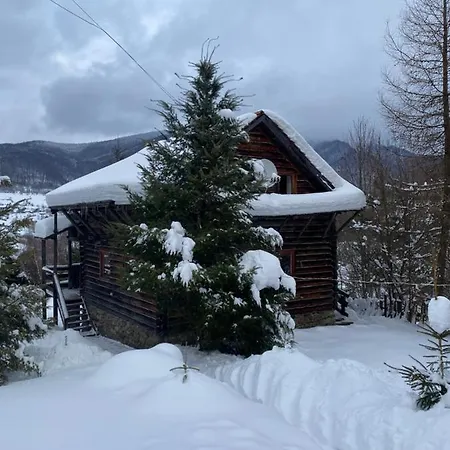 Perlyna Krasiyi Vyshka