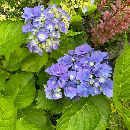 Perlyna Krasiyi Hotel