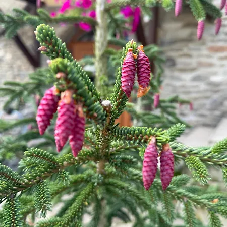 Perlyna Krasiyi Hotel 3*