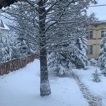 Perlyna Krasiyi Vyshka