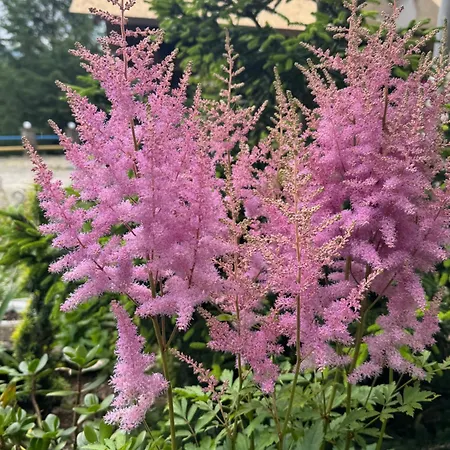 Hotel Perlyna Krasiyi 3*