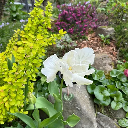 Perlyna Krasiyi Hotel