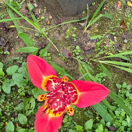 Hotel Perlyna Krasiyi 3*