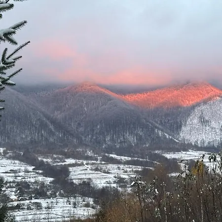 Perlyna Krasiyi Vyshka