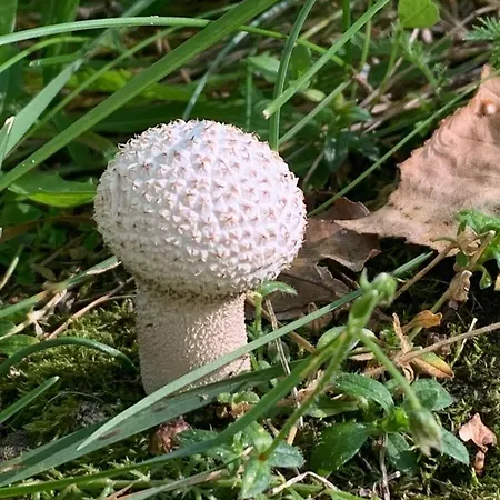 Hotel Perlyna Krasiyi