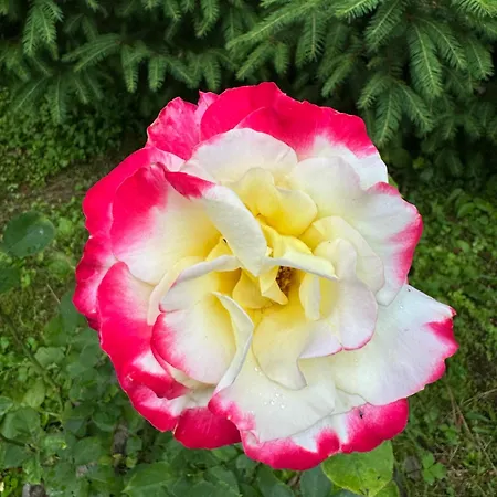 Perlyna Krasiyi Hotel Vyshka