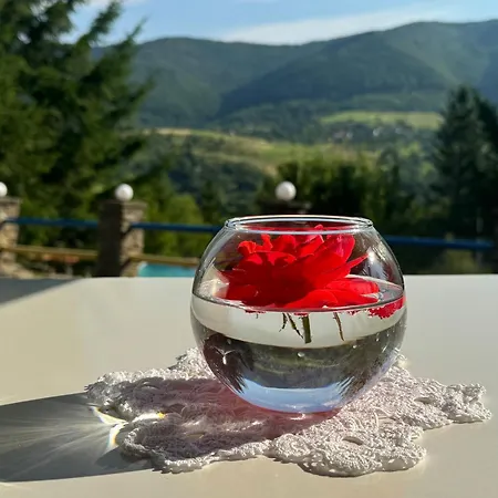 Hotel Perlyna Krasiyi