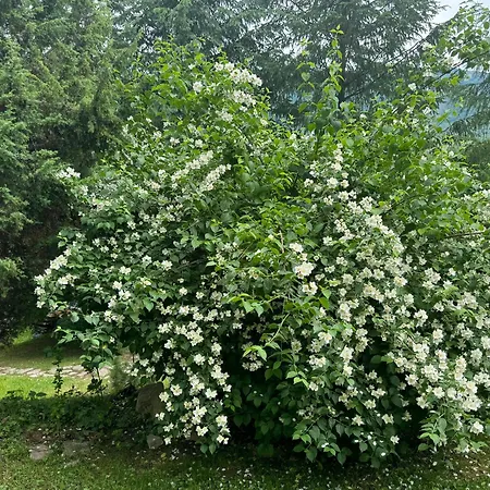 Perlyna Krasiyi Hotel 3*