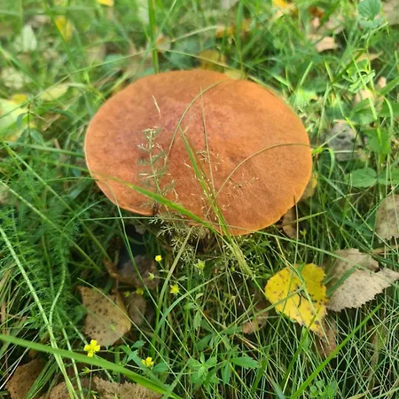 Perlyna Krasiyi Hotel